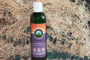 orange lavender shampoo